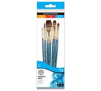 Daler Rowney Estuche con 5 Pinceles Sintéticos y de Cerda Natural con Mango Corto Simply: Redondo 0,4,Lengua de Gato 6, Plano Lavis 1/2",3/4"