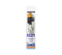 Daler Rowney Graduate Estuche Pinceles Mango Corto 5 Acuarela Sintéticos Paisaje