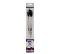 Daler-Rowney Graduate, Pinceles Óleo, Pelo de cerda Natural, Mango Largo, Estuche, Set, 4 Pinceles Surtidos