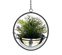 DanDiBo Macetero colgante de metal para pared 96087 con maceta, plateado, colgador para plantas, macetero colgante (altura 53 cm)