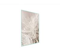 DarHaus Placa protectora de vitrocerámica 35 x 52 cm 1 pieza cocina eléctrica universal para inducción protección contra salpicaduras tabla de cortar de vidrio templado como decoración, FLOR