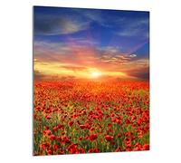 DarHaus Tabla de cortar decorativa de cristal templado y cubre vitro, Placa protectora de vitrocerámica 40 x 52 cm 1 piezas, para inducción, protección contra salpicaduras, decoración, AMAPOLAS