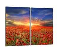 DarHaus Tabla de cortar decorativa de cristal templado y cubre vitro, Placa protectora de vitrocerámica 30 x 52 cm 2 piezas, para inducción, protección contra salpicaduras, decoración, AMAPOLAS