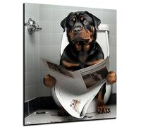 DARO Design - Imágenes decorativas para invitados, pared de baño, baño, aseo, impresión artística en 6 mm HDF 30 x 20 cm, decoración de pared de Rottweiler - Divertidos cuadros de pared lienzo póster