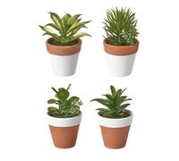 Dcasa Set de 4 plantas artificiales cactus de plástico con macetas de terracota de Ø 9x14 cm