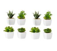 Dcasa Set de 8 plantas artificiales cactus con maceta blanca de porcelana de 5x5x10 cm