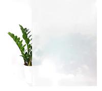 DecoMeister Vinilo Ventanas Estático 67,5x150 cm - Lámina de Privacidad para Cristales - Película Decorativa Fácil de Aplicar en Ventanas y Mamparas de Ducha, Protector Solar UV - Opaco