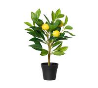 Decoris limonero artificial de 43 cm en maceta, planta artificial, lim