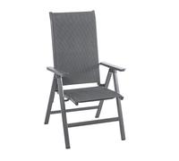Dehner Cleveland-Sillón Plegable (Aluminio, 108 x 68,5 x 60 cm), Color Gris, OneSize