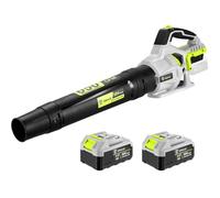 DEKOPRO Soplador de Hojas Inalámbrico de 20 V, Incluye 2 Baterías de 4,0 Ah, 650 CFM de Caudal, 2 Velocidades, Soplador de Hojas para Portales, Jardines, Limpieza de Hojas Caídas y Nieve