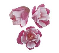 Dekora-6 Magnolias Comestible Decoración de Tartas de Cumpleaños Caseras Fácil para Obtener un Pastel con Flores-de Color Rosa de 6,5-7 cm, (126150)