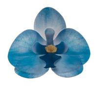 dekora - Flores Comestibles para tartas, 10 orquídeas azules de oblea 8.5 x 7.5cm, sin azúcar, sin gluten, sin lactosa, Adornos Comestibles para Tartas, Cumpleaños y Bodas