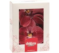 Dekora Design - Flores comestibles para tartas, 10 orquídeas burdeos, sin azúcar/gluten/lactosa