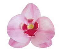 dekora - Flores Comestibles para tartas, 10 orquídeas rosas de oblea 8.5 x 7.5cm, sin azúcar, sin gluten, sin lactosa, Adornos Comestibles para Tartas, Cumpleaños y Bodas