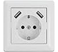 Delock enchufe de pared con 2 x usb tipo-a puerto de carga 2,8 a