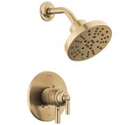 Delta T17235-CZ Saylor - Grifo para ba era/ducha, bronce champ n