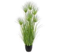 Desierto Planta Verde C-Pot X7F H90
