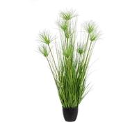 Desierto Planta Verde C-Pot X9F H120