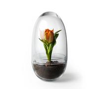 Design House Stockholm Invernadero Grow Medium ø11 cm
