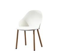 DIANXI Silla de Dormitorio Silla de Comedor Creativa nórdica, Taburete con Respaldo plástico for el hogar, Silla Maquillaje for Escritorio Ocio, Restaurante Moderna y Sencilla for negociar