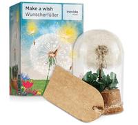 Diente de León en Vidrio : Flor Real en Cúpula como Amuleto de la Suerte - Regalo Pequeño con Tarjeta para Deseos, Agradecimiento, Motivación, Exámenes, Bodas, Año Nuevo, Nuevo Trabajo y Más - Inovida