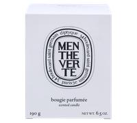 Diptyque Menthe Verte Scented Candle 190 g Vela
