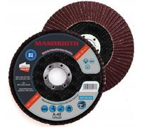 Disco abrasivo MAMMOOTH M.FLA29.125.40/B