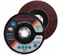 Disco abrasivo MAMMOOTH M.FLA29.125.60/B