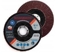 Disco abrasivo MAMMOOTH M.FLA29.125.80/B