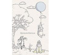 Disney Winnie The Pooh-Splendiferous - Póster (61 x 91,5 cm), multicolor