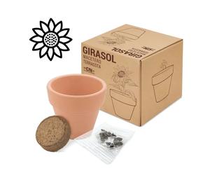 Disok Lote 20 Macetas Terracota Semillas Girasol - Regalos Bodas