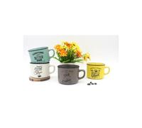 Disok Lote de 12 Tazas Time For Coffee para Bodas Detalles Mujeres - Regalos Prácticos Empresas