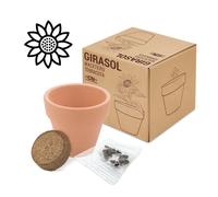 Disok - Lote de 20 Macetas Terracota Semillas Girasol - Detalles Bodas Originales Cumpleaños Navidades Regalos