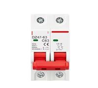 Disyuntor 2P AC 230/400V DZ47 tipo C protección contra sobrecarga protección contra cortocircuitos riel de interruptor principal pequeño for el hogar
