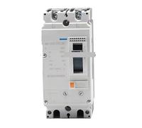 Disyuntor de caja moldeada NM8NDC, 1P, 2P, 3P, 4P, CC, MCCB, protección de motor for energía solar fotovoltaica, 160A, 250A(2P DC MMCB,160A)
