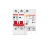 Disyuntor de corriente residual con sobrecarga con protección contra rayos | Protector de sobretensiones (2P-PE-220V 20KA, 20A)