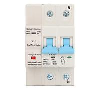 Disyuntor Wifi PolyGen 2P montaje en carril DIN Control remoto interruptor disyuntor inteligente con función de retardo de sincronización AC230V (100A)
