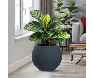 DIVINA GARDEN Jarrón redondo de resina de exterior e interior para plantas con esfera de diseño, diámetro 40 x 33 cm, color gris
