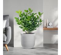 DIVINA GARDEN Maceta de resina de exterior e interior para plantas, cilindro de diseño, diámetro 35 x 34 cm, Rafael blanco