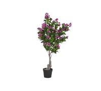 DKD Home Decor Árbol de Buganvilla Fucsia 80x80x176 cm