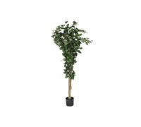 DKD Home Decor Árbol Ficus Verde 50x50x150 cm