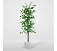 DKD Home Decor Árbol Ficus Verde de Madera y Poliéster (80x80x180 cm)