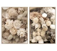 DKD Home Decor Cuadro de Flores Secas en Lienzo, Set de 2 unidades