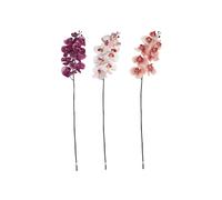 DKD Home Decor Flores de Orquídea Surtidas 20x20x95 cm