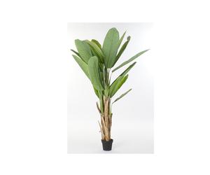 DKD Home Decor Palmera Platanera Colección Banana