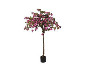 DKD Home Decor Planta Buganvilla Fucsia 80x80x150 cm