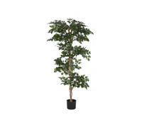 DKD Home Decor Planta Ficus Verde de Poliéster 56x56x150 cm