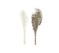 DKD Home Decor Rama de Flor Seca Surtida 100g