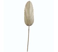 DKD Home Decor Rama Hoja de Palmera Brillante 27x2x150 cm