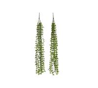 DKD Home Decor Ramas de PE Colgantes Verde Surtido de 2